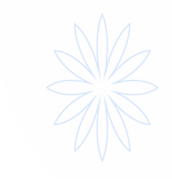 开云(kaiyun)官网 - 中国官网首页